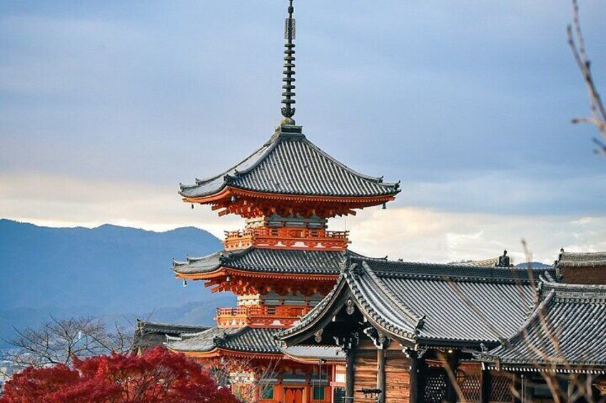 Private Kyoto Customizable Tour With English Guide