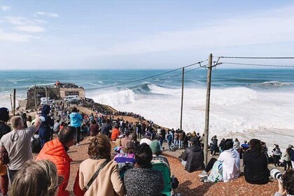 Porto-Lisbon or Lisbon-Porto Private Tour with 3 Cultural Stops