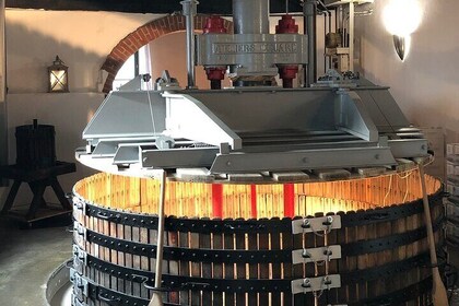 Exclusieve Champagne Tour : 2 Familiehuizen & Restaurant inbegrepen