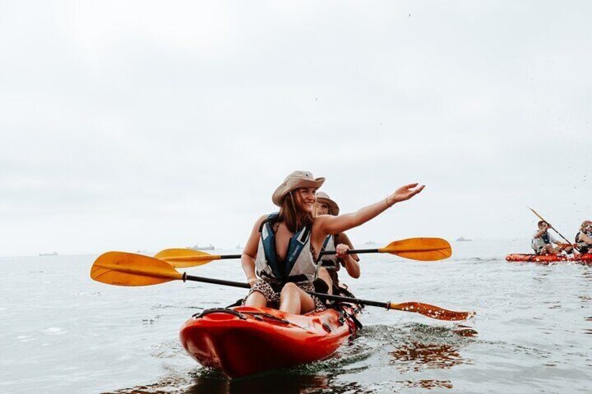 Mola Mola Kayaking Experience