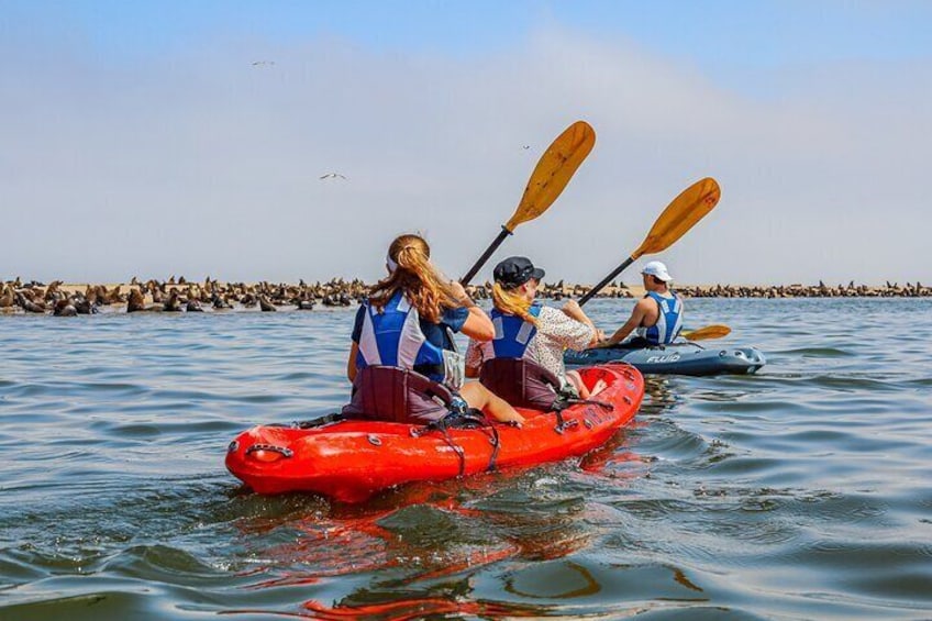 Mola Mola Kayaking Experience