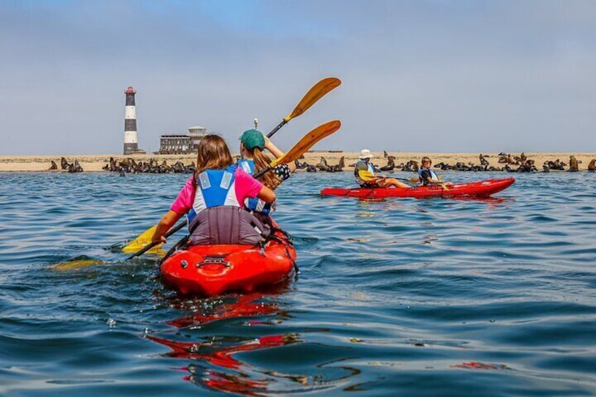 Mola Mola Kayaking Experience