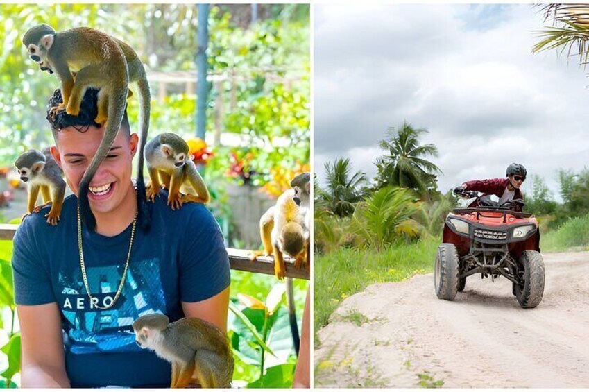 Monkey Jungle Tour Plus ATV BUGGY and Lunch