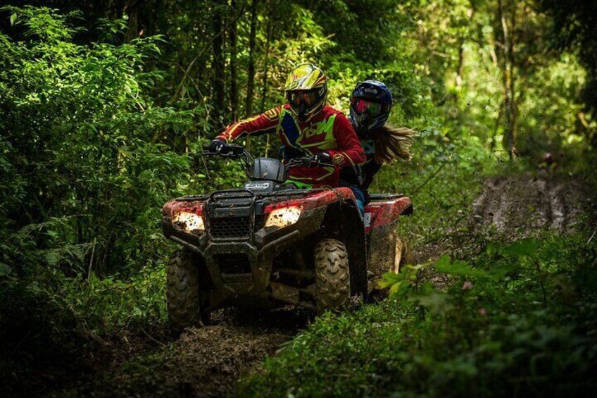 Puerto Plata ATV Ride Tour and MonKey's Jungle Plus Lunch