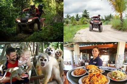 MonKey's Jungle Tour and ATV Adventure Plus Lunch