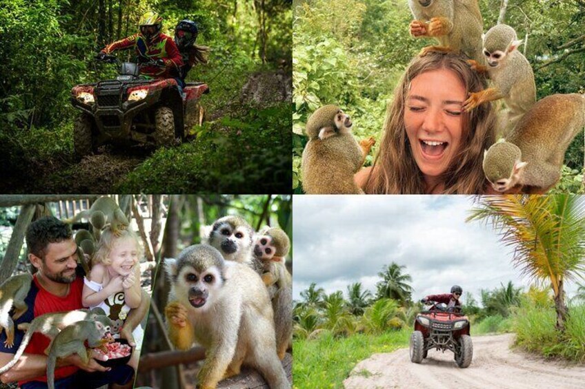 Puerto Plata ATV Ride Adventure and Jungle tour with Lunch