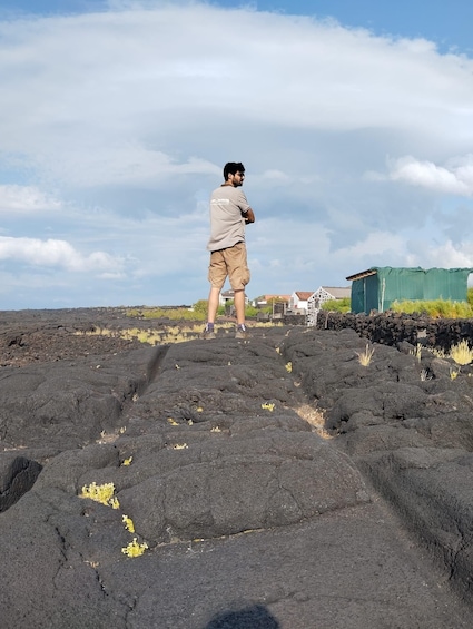Picture 4 for Activity Wine Tour and Tasting with a local Winemaker at Pico Island