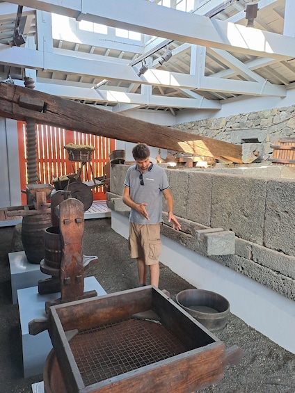 Picture 2 for Activity Wine Tour and Tasting with a local Winemaker at Pico Island