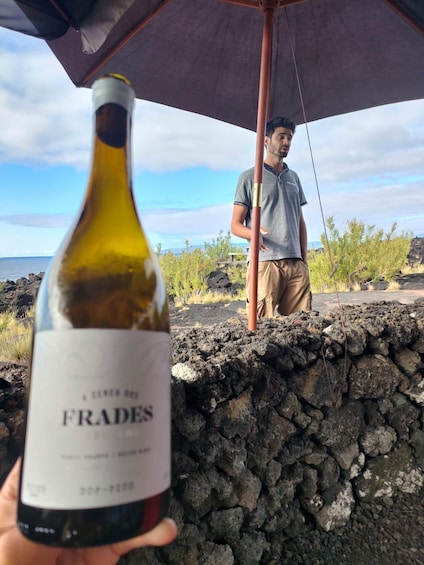 Picture 5 for Activity Wine Tour and Tasting with a local Winemaker at Pico Island