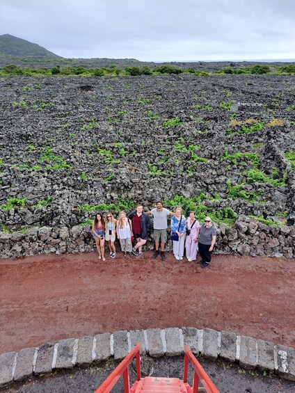 Wine Tour and Tasting with a local Winemaker at Pico Island