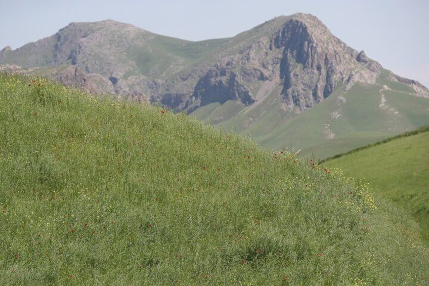 Private Tour from Samarkand to Shakhrisabz