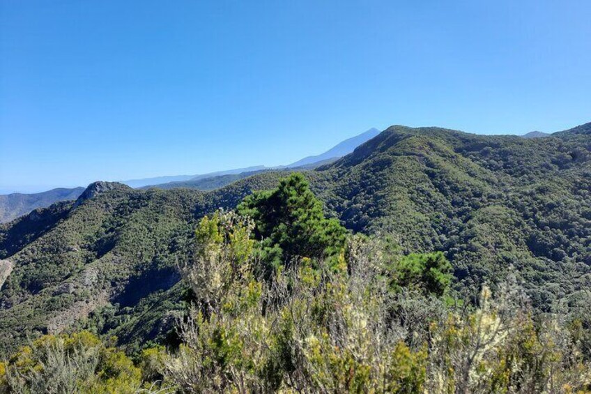 Panoramic view of the Northwest coast Tenerife