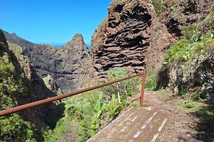 Hiking in the Cuevas Negras canyon in Tenerife