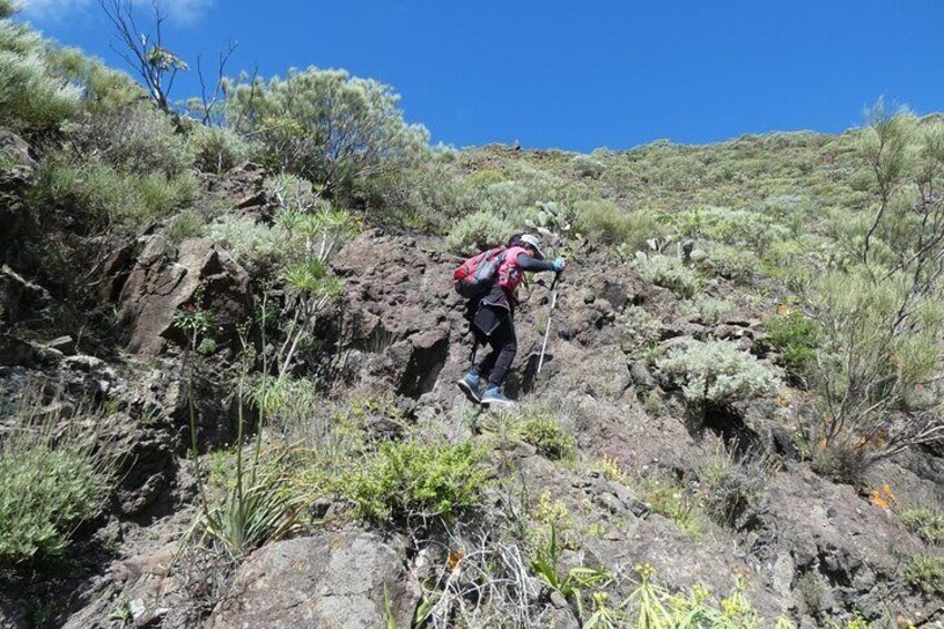 One of the hikers on the trail