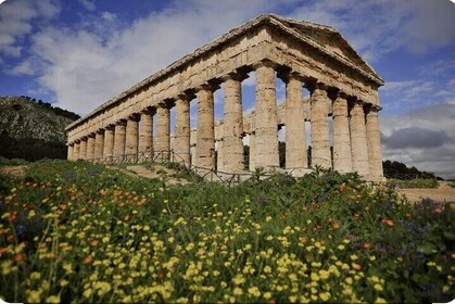 Full Day Tour to Segesta, Erice, Trapani, Saline TP and Dattilo