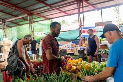 Farmers Market Experience