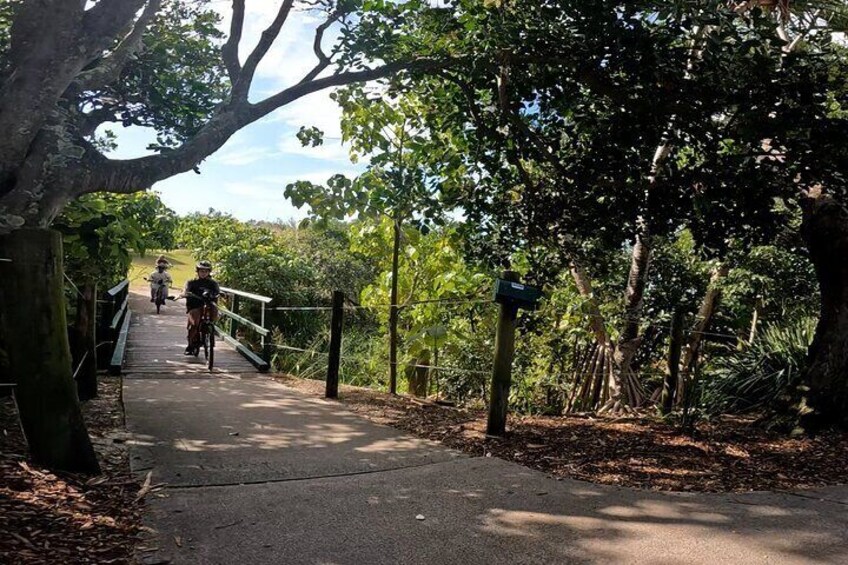 Crossing the Sky Place: Easy Peasy Novotel North e-Bike Tour at Birrahl Park Bridge