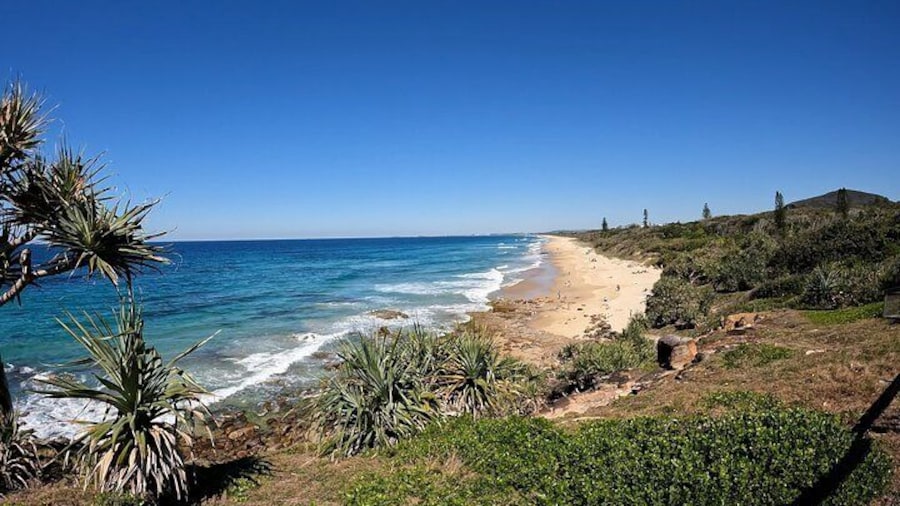 Stunning Coastal Views from Pt Arkwright: Mt Coolum and Coral Sea Surf