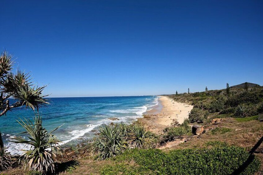 Stunning Coastal Views from Pt Arkwright: Mt Coolum and Coral Sea Surf