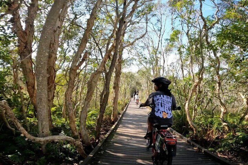 Family-Friendly Educational Adventure: Exploring the Scenic Tree Tunnel on the Easy Peasy Novotel North e-Bike Tour