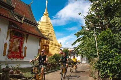 Experience The Real Chiang Mai by Bike