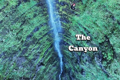 Hawaii Oahu Canyon Rappel & Hike Expedition Tour