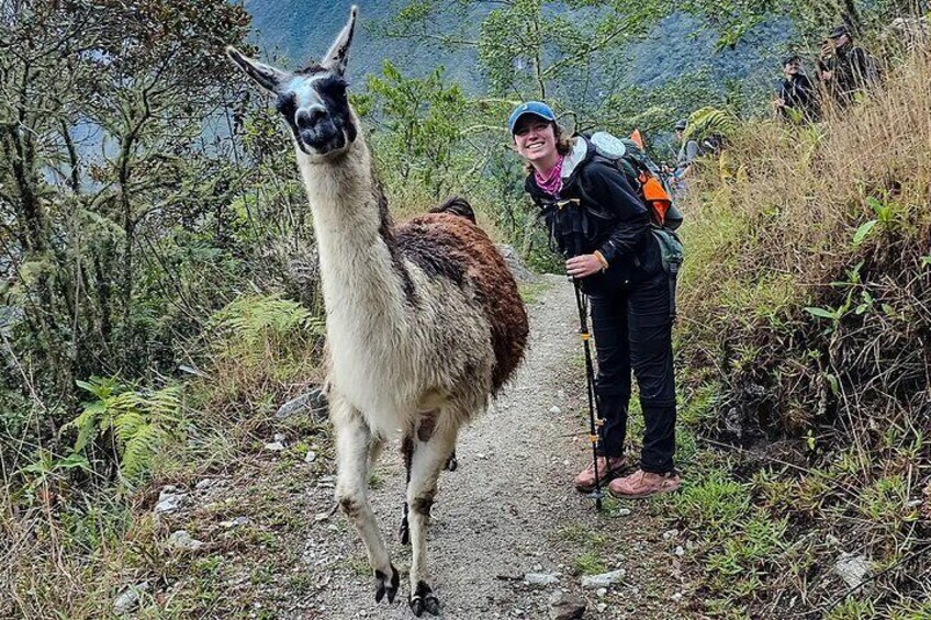 15 Days Treasures of Peru Nature and Adventure Tour