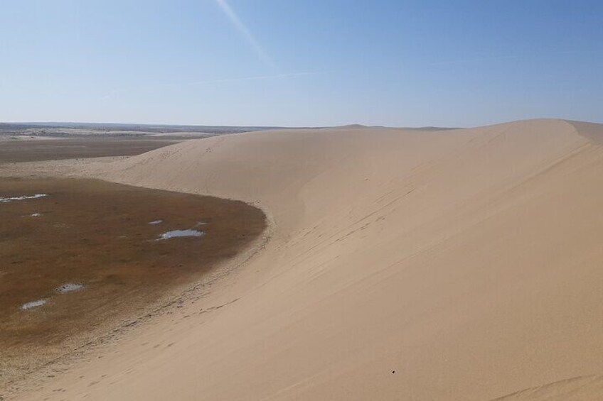 Edge of Gobi