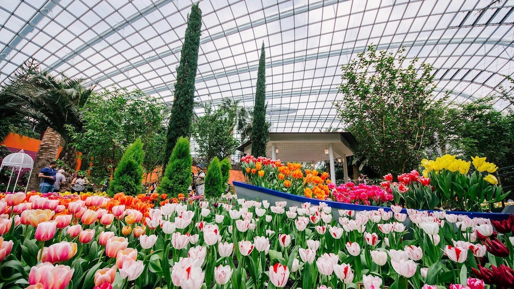 MBS Skypark+Garden By The Bay (Flowerdome+Cloudforest)+ with 2way transfer