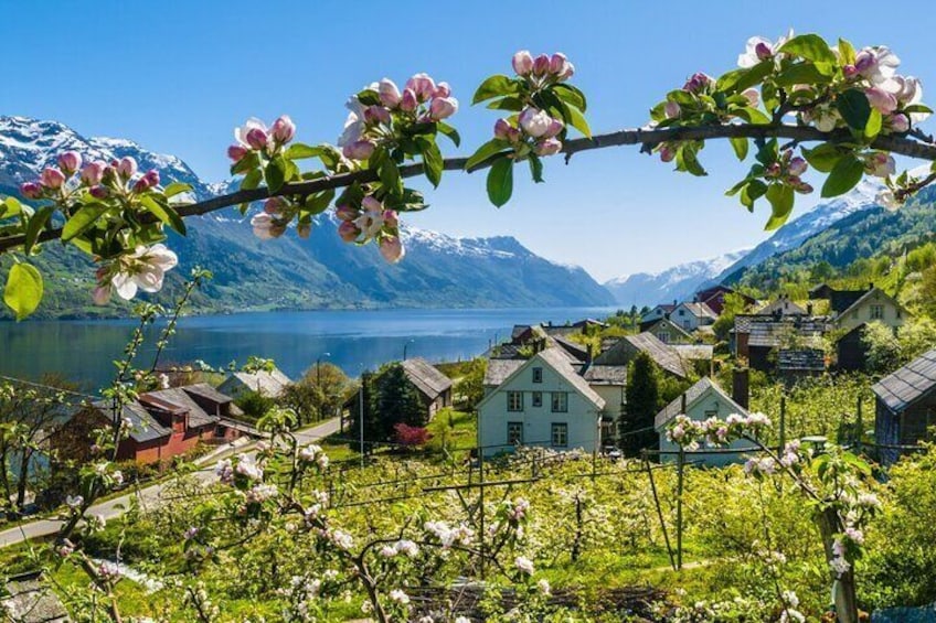 Hardangerfjord Tour with Voss Gondola and Waterfalls