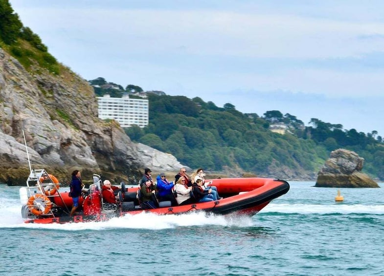 Picture 2 for Activity Torquay: 1-Hour Coastal Explorer Boat Trip