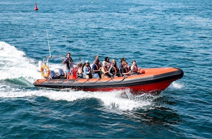 Torquay: 1-Hour Coastal Explorer Boat Trip