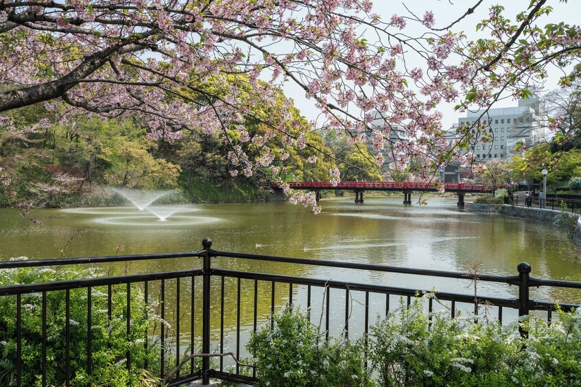 Tennoji District Walking Tour with Food Tasting -3hrs