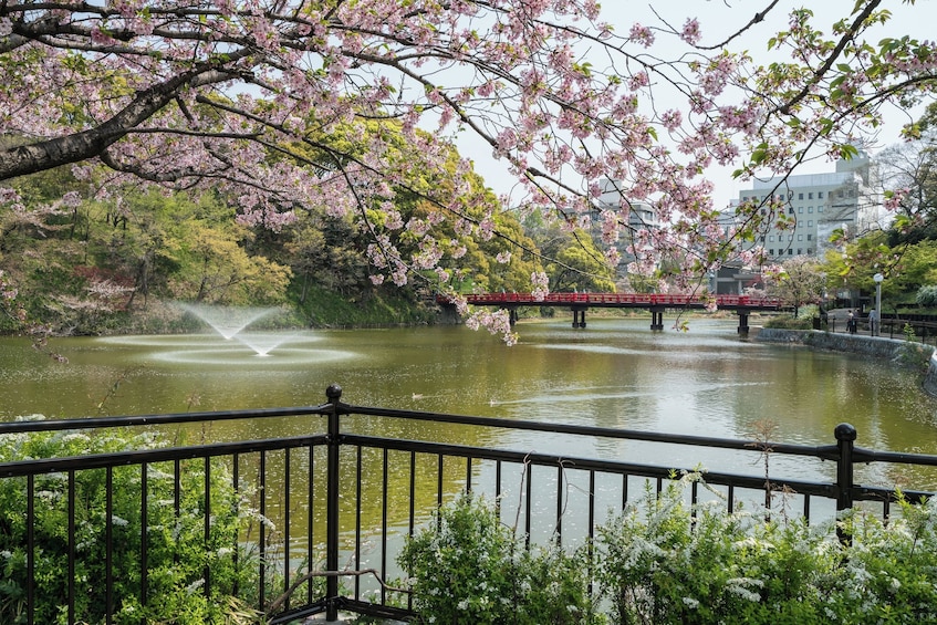 Tennoji District Walking Tour with Food Tasting -3hrs