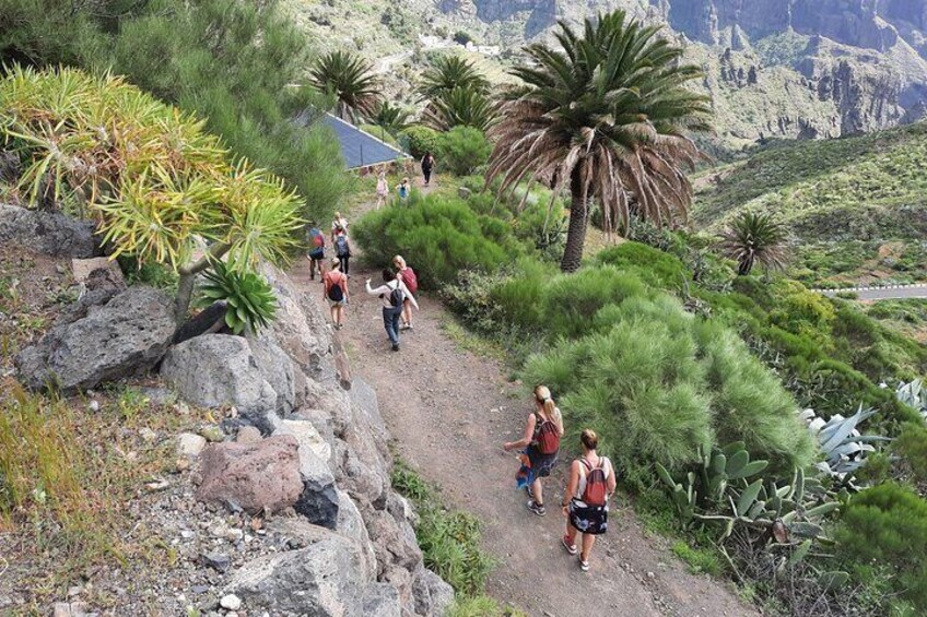 On the way to Masca with the group