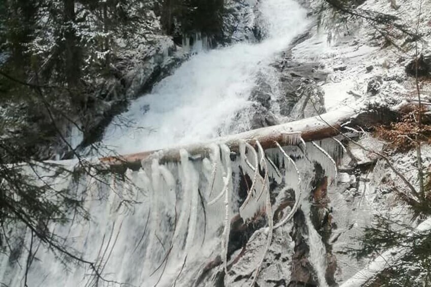 Half Day Horse Riding to Soskovcheto Preserve in Smolyan
