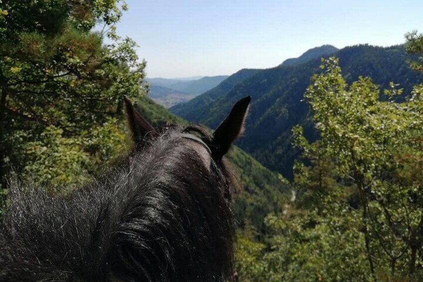 Private Horse Riding Tour To the Perelik Top in Smolyan