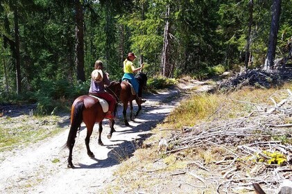 Private Horse Riding Tour To the Perelik Top in Smolyan