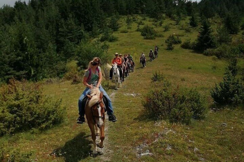 1 Hour Waterfalls Canyon Private Horse Riding in Smolyan