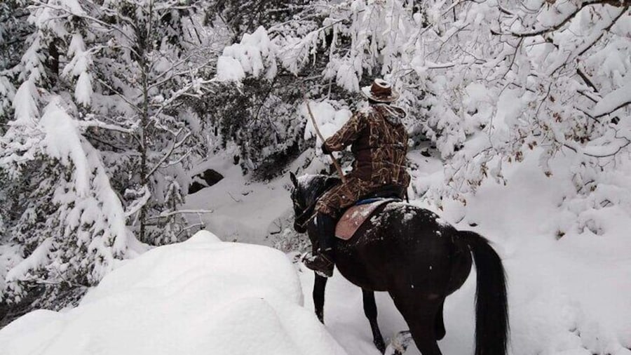 1 Hour Waterfalls Canyon Private Horse Riding in Smolyan