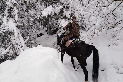 1 Hour Waterfalls Canyon Private Horse Riding in Smolyan