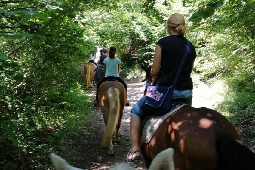 1 Hour Waterfalls Canyon Private Horse Riding in Smolyan