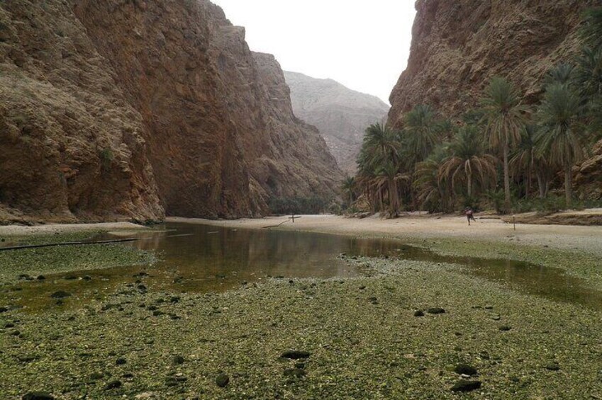 Private tour to Wadi Shab and Bimmah Sinkhole
