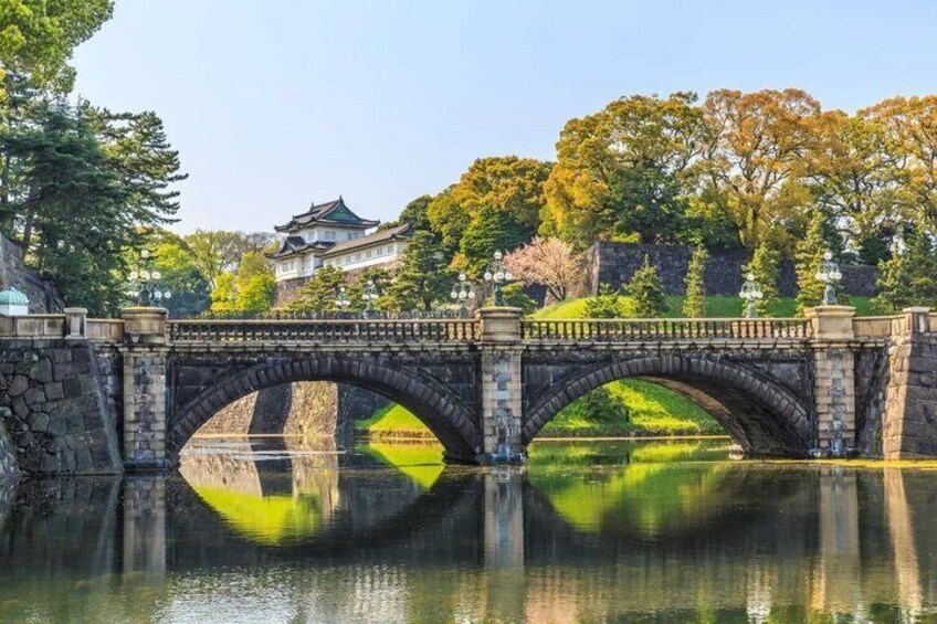 Best of Tokyo in a Day Small Group Tour