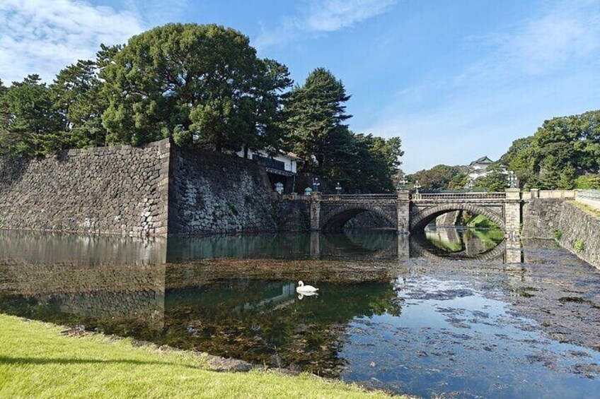 Best of Tokyo in a Day Small Group Tour