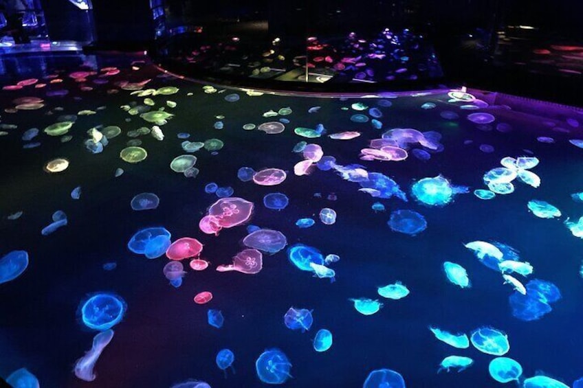 Sumida Aquarium's new jellyfish chamber is the dreamiest place in Tokyo right now