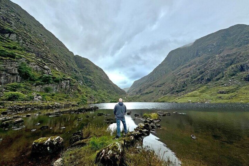 Guided Private Two Hour Photo Walk in Killarney National Park