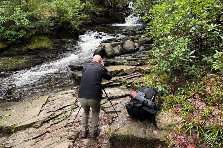 Guided Private Two Hour Photo Walk in Killarney National Park