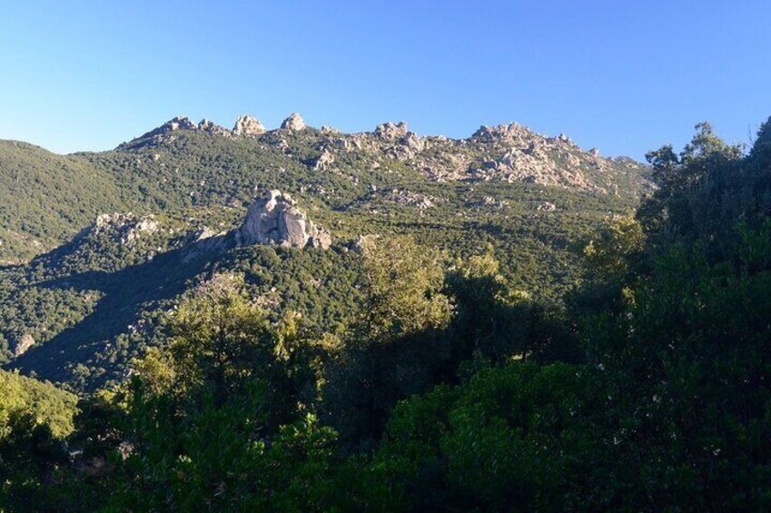 Castiadas Trekking in the S'Acqua Callenti Forest