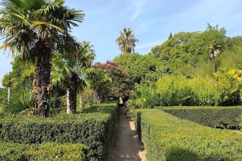 Dubrovnik Sightseeing And Visiting The Botanical Garden